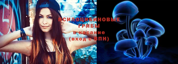 гидра Нязепетровск