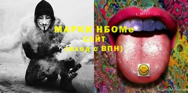 индика Новокубанск