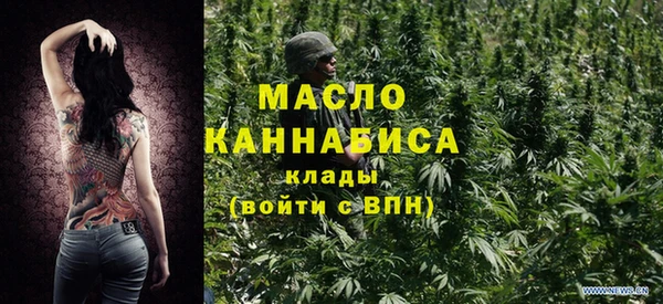 дмт Нягань