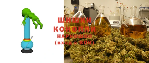гидра Нязепетровск