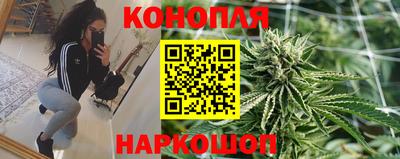 прущие грибы Абинск