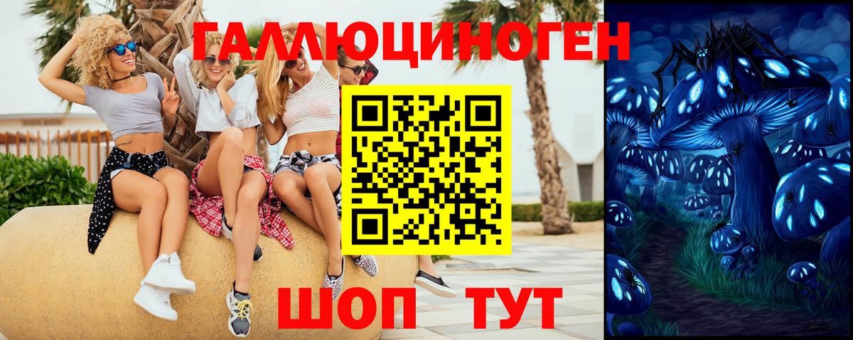 Абакан  Галлюциногенные грибы прущие грибы  купить наркотик  Вход с VPN 