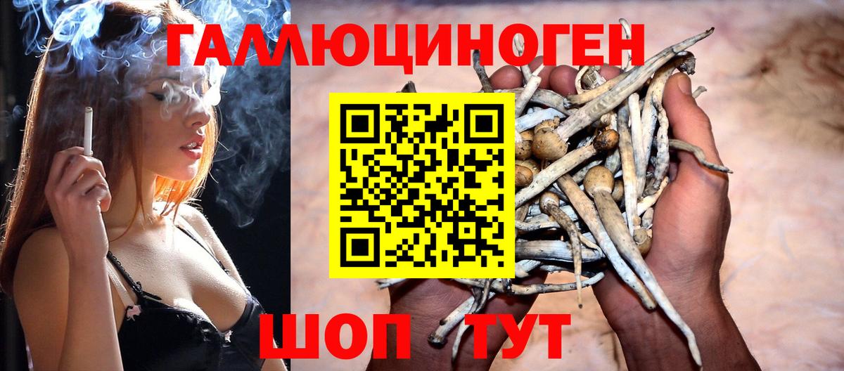 Галлюциногенные грибы мицелий Абакан
